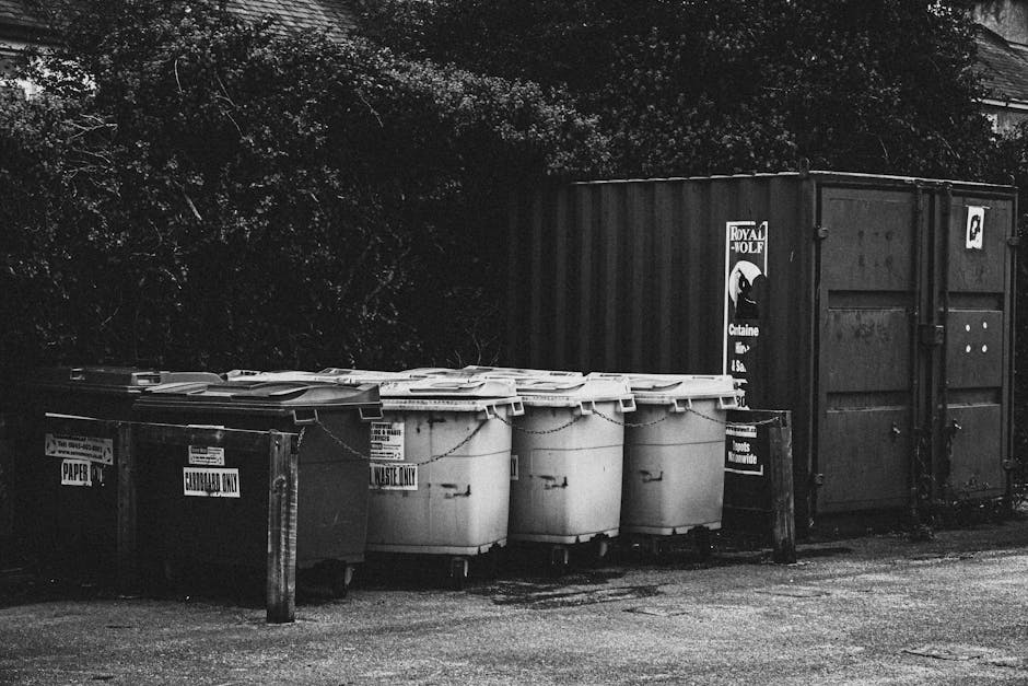 In the foreground, five large wheeled trash bins are positioned on a paved surface; three of them are white and appear to be made of plastic, with one marked as 'WASTE ONLY' on a label, while the other two are darker and labeled 'EUROPA'. The white bins have closed lids, and the dark bin's lid is not clearly visible. To the left, two smaller bins are visible, one dark with a label indicating 'PAPER' and the other also dark, with unclear markings. Behind the bins, there is a tall, dark shipping container with the logo and name 'ROYAL MOLF' printed on a label, serving as an environmental backdrop, with dense foliage and trees visible at the top of the image. The scene suggests a private waste handling or rubbish collection area, possibly on a driveway or service yard, under natural daylight but in shadow, emphasizing the utilitarian and organized arrangement typical of waste collection points managed by waste removal services like Waste Collection Wimbledon.
